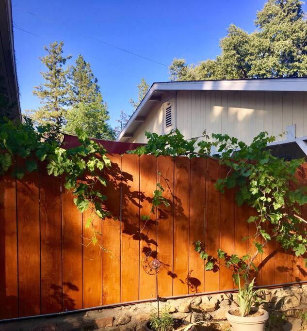 Sierra Sunset Cottage -Yosemite Area Vacation Cottage 아와니 외부 사진